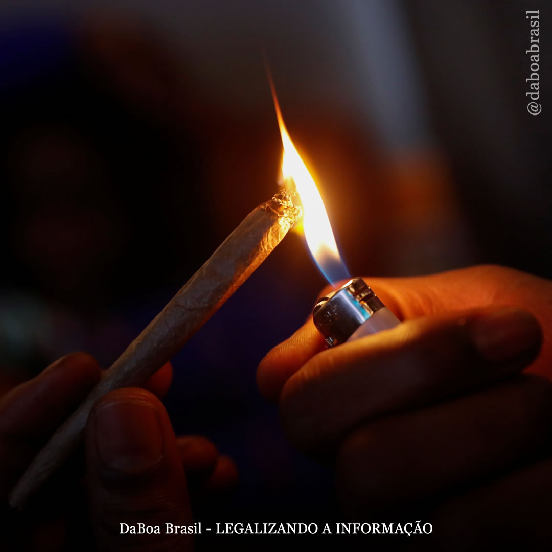 Locais onde a maconha é ilegal apresentam taxas mais altas de internações para tratamento, afirma estudo