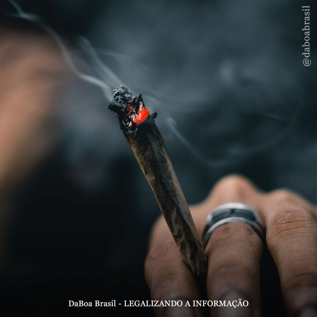 Uso noturno de maconha associado à melhoria da qualidade do sono, diz estudo