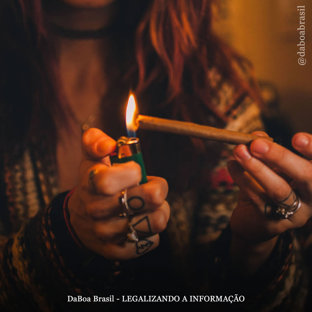 A maconha ainda é a substância ilegal mais usada no mundo, afirma relatório da ONU