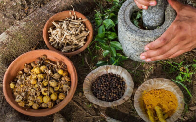 A maconha na medicina tradicional chinesa e na medicina ayurveda indiana