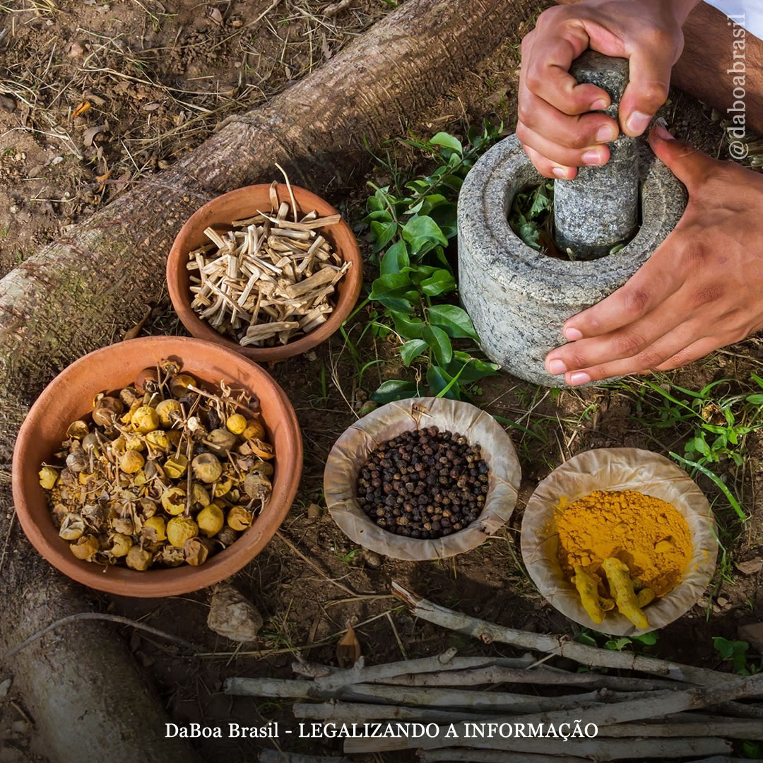 A maconha na medicina tradicional chinesa e na medicina ayurveda indiana