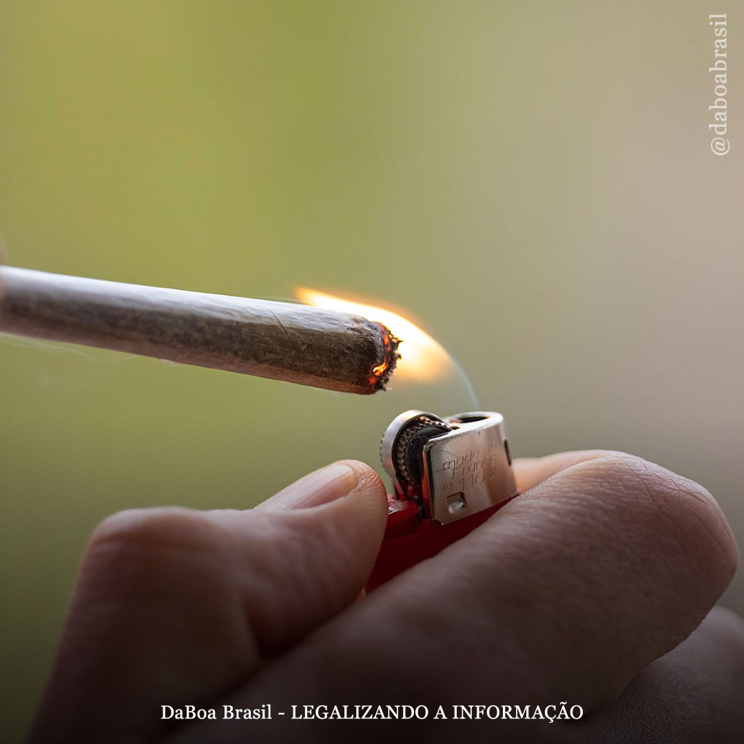 Em novo estudo, cientistas descobrem a razão exata pela qual a maconha estimula o apetite