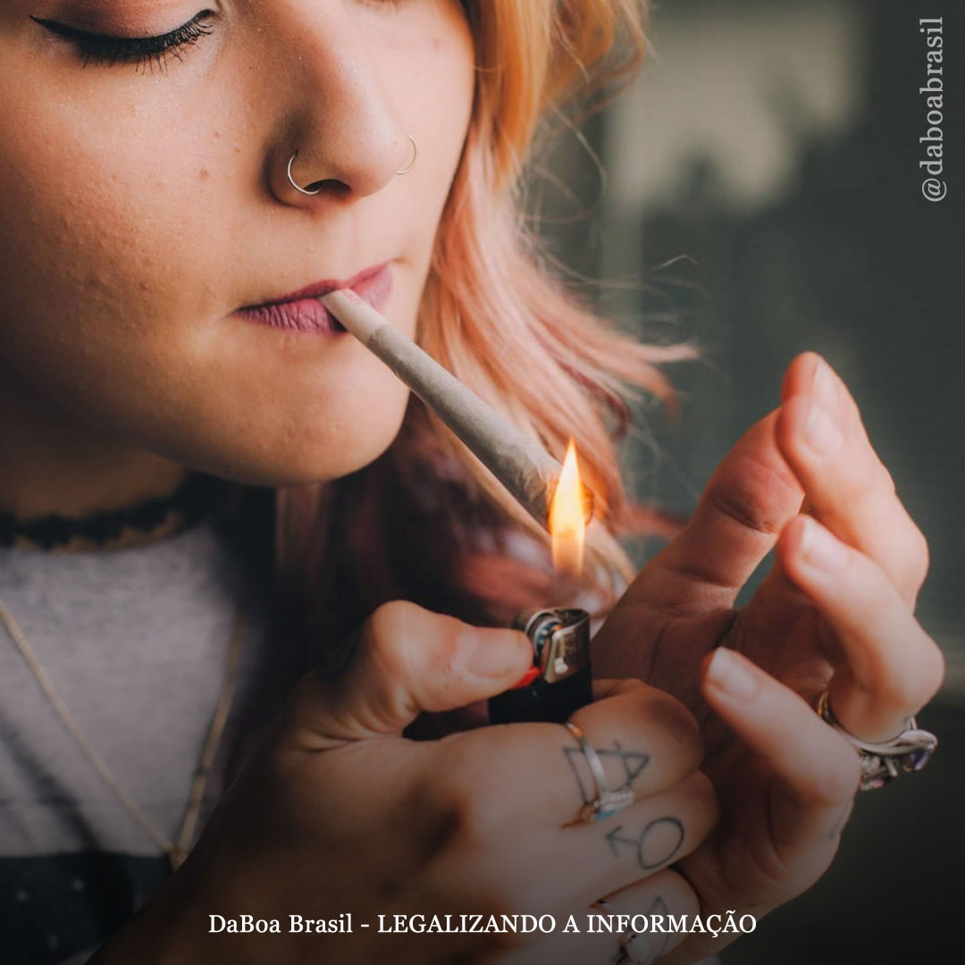 Exposição vitalícia à maconha não está ligada a mudanças significativas na saúde mental ou outros resultados psicossociais, diz estudo