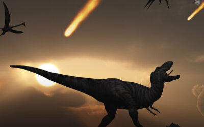 Pesquisadores rastreiam genoma da psilocibina até asteroide que matou os dinossauros