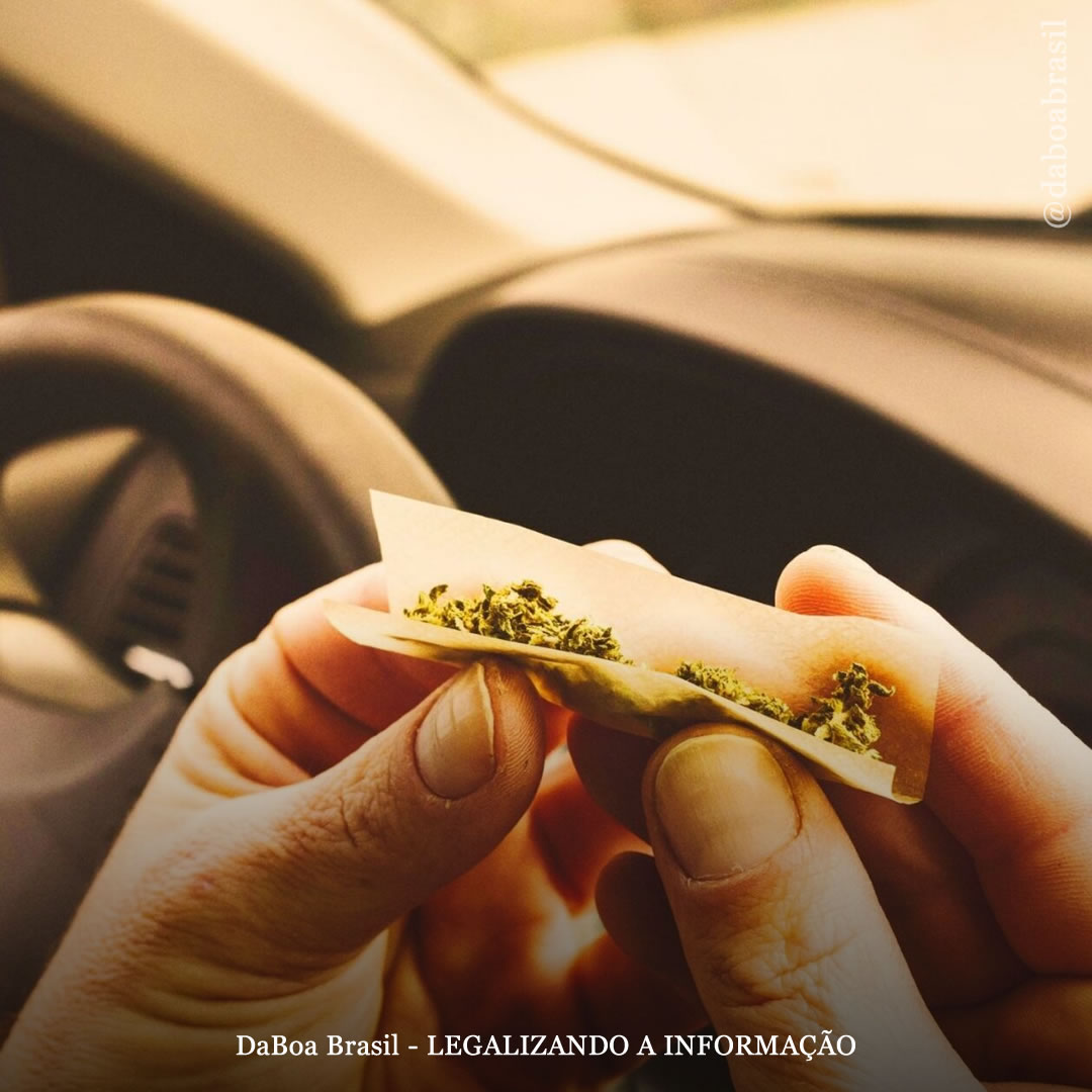 Presença de THC no sangue não está correlacionada com mudanças no desempenho ao dirigir, diz estudo