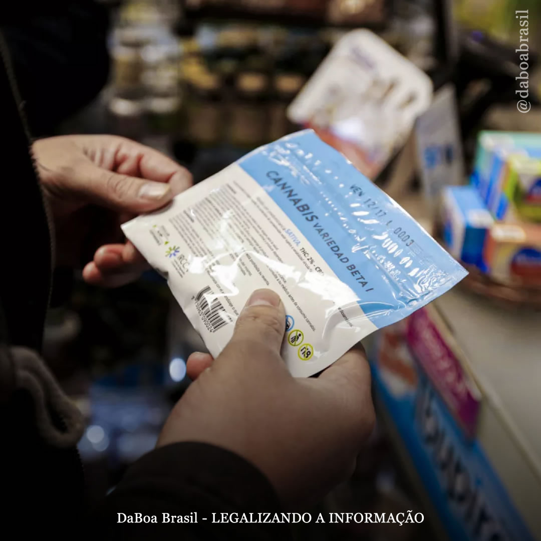 Uruguai busca eliminar o registro de compradores de maconha em farmácias para que estrangeiros tenham acesso legal