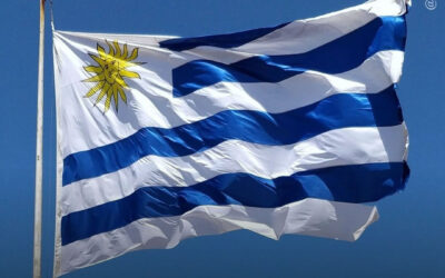 Uruguai: mais da metade dos usuários estão comprando maconha do mercado legal