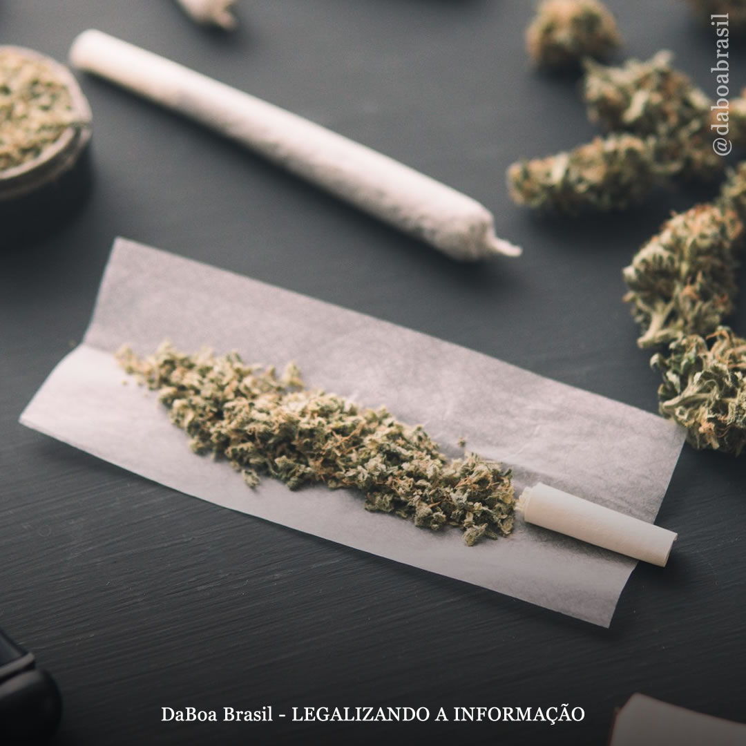 Uso de maconha não está associado a risco elevado de fibrilação atrial, diz estudo