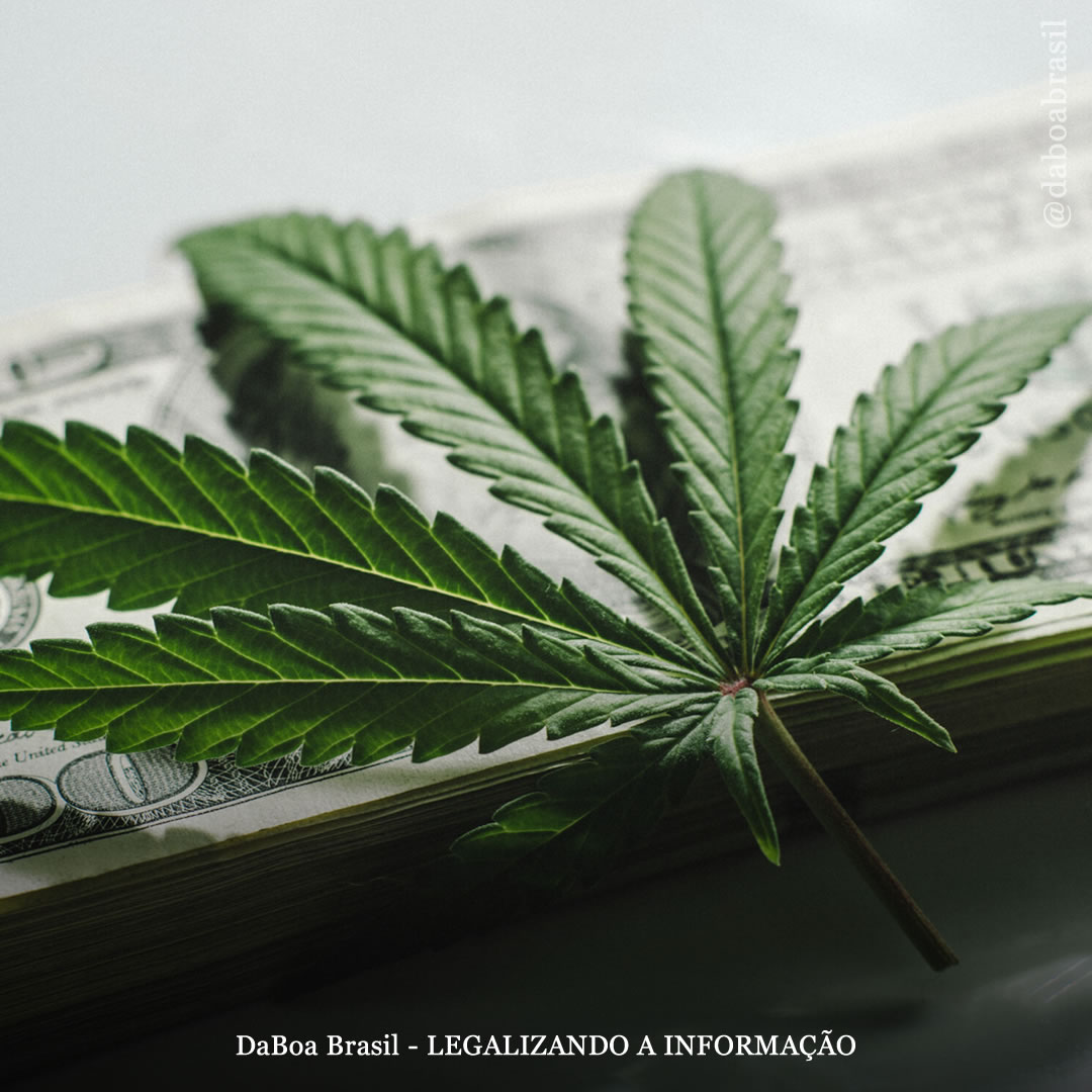 A receita tributária da maconha deveria financiar educação e habitação, não polícia e prisões, afirmam eleitores em Nova Jersey (EUA)