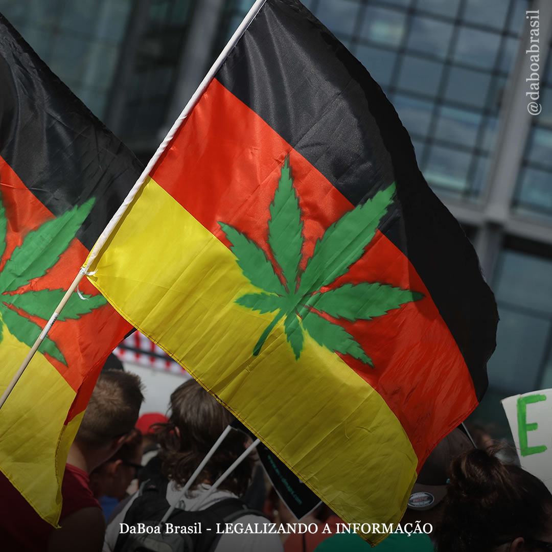 Alemanha aprova a legalização do uso adulto e autocultivo da maconha