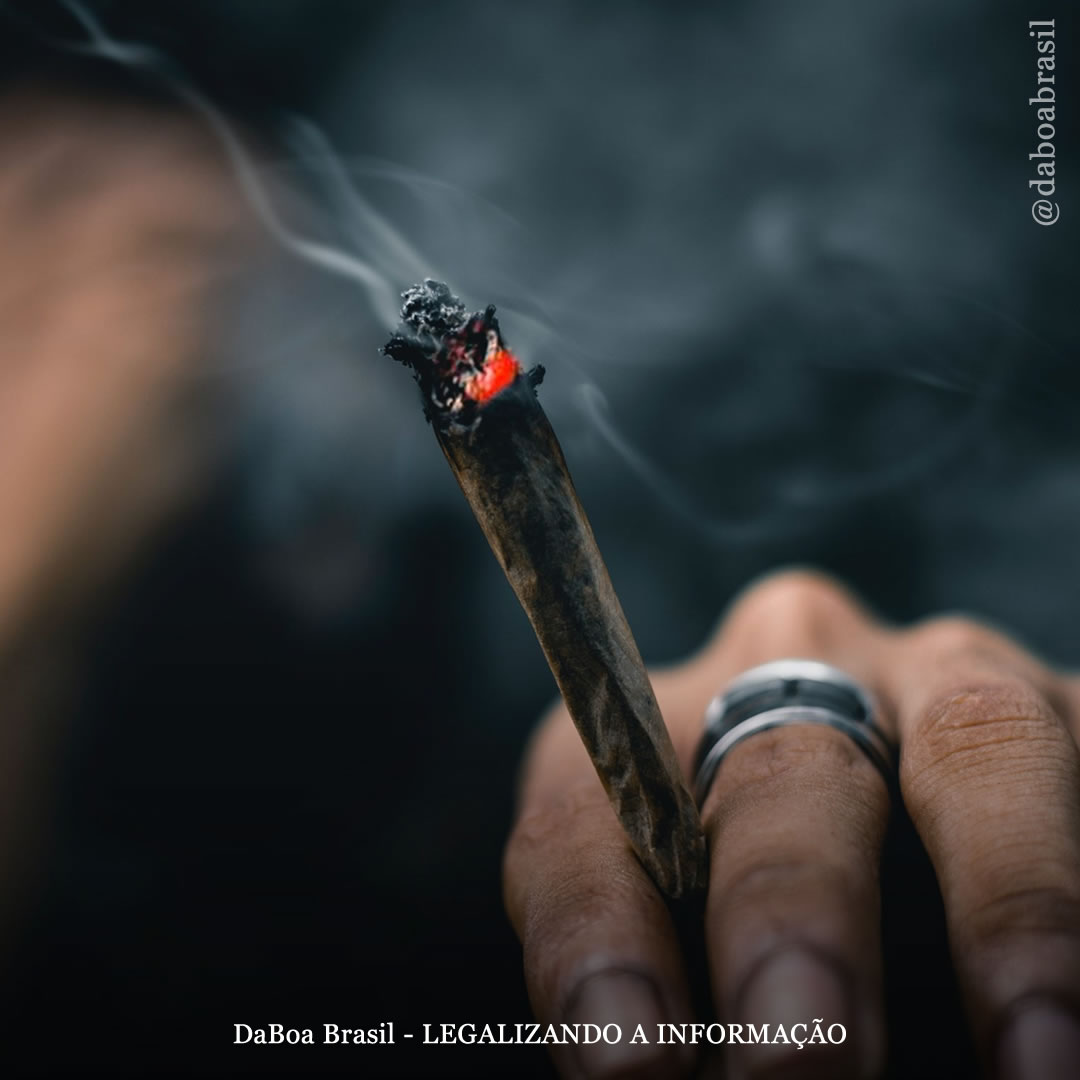 O declínio nas taxas de tratamento para transtorno por uso de maconha estava concentrado em locais legalizados, conclui estudo