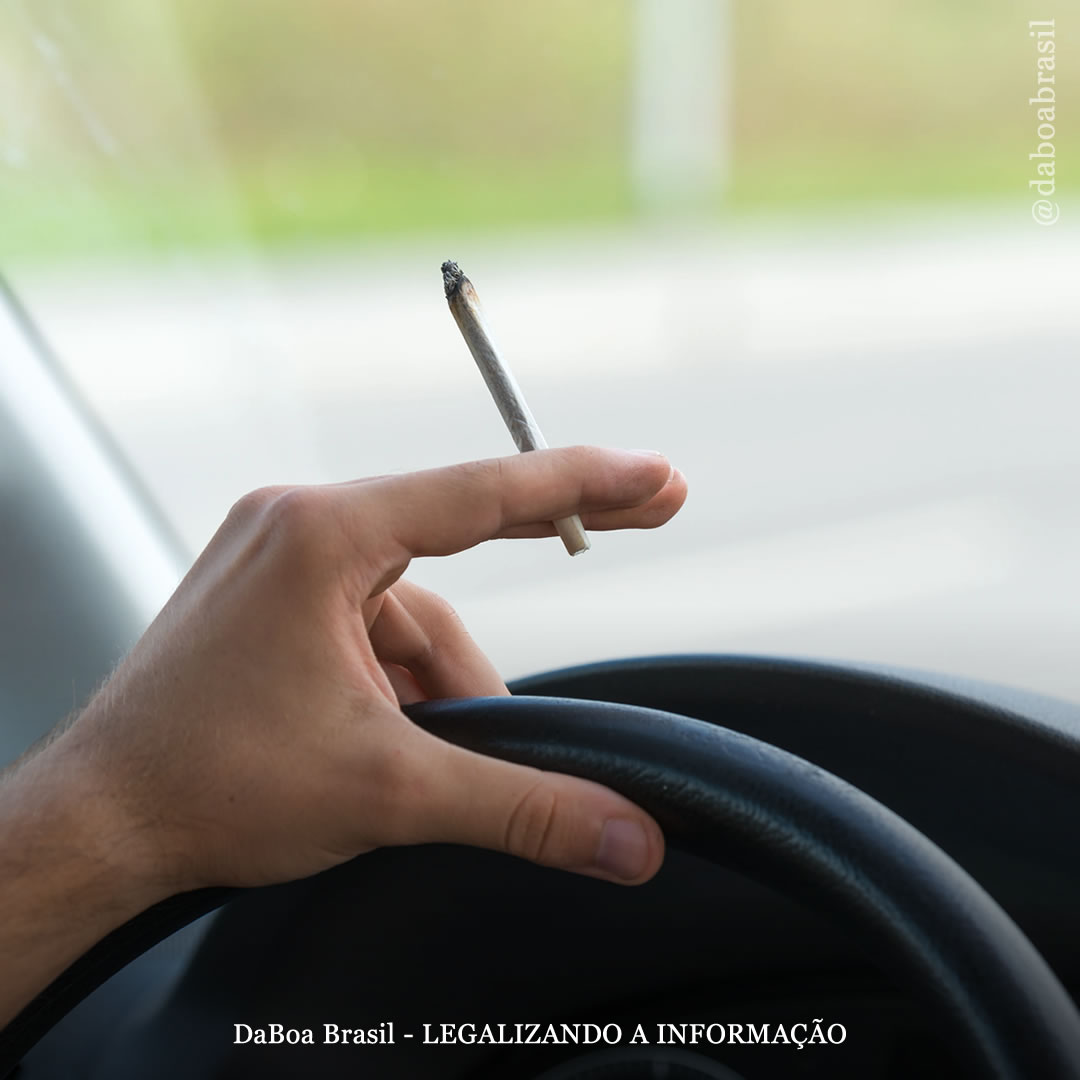 O uso de maconha não aumenta o risco de acidentes de carro, ao contrário do consumo de álcool, diz estudo