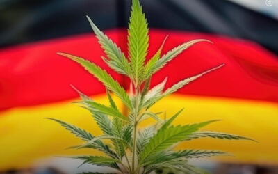 Alemanha: legalização da maconha entrará em vigor no próximo mês, após legisladores recusarem adiar a implementação