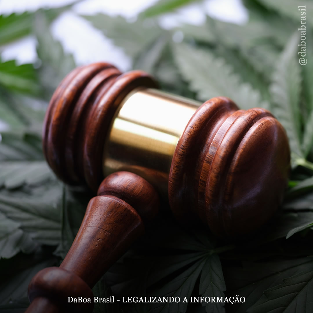 EUA: governadora de Massachusetts anuncia plano para perdoar crimes relacionados à maconha