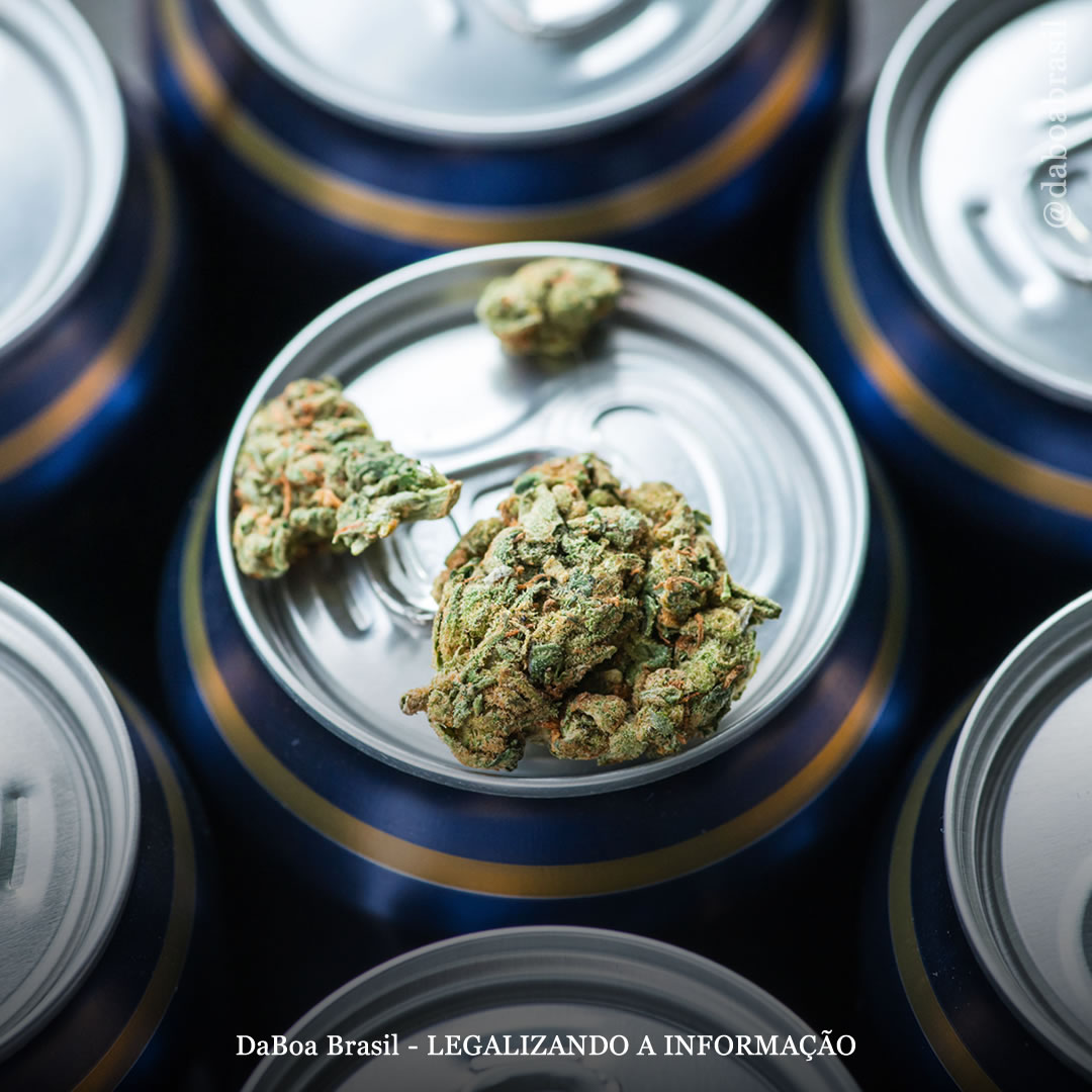 Legalização da maconha está ligada ao declínio nas vendas de cerveja, indicando efeito de substituição, conclui estudo