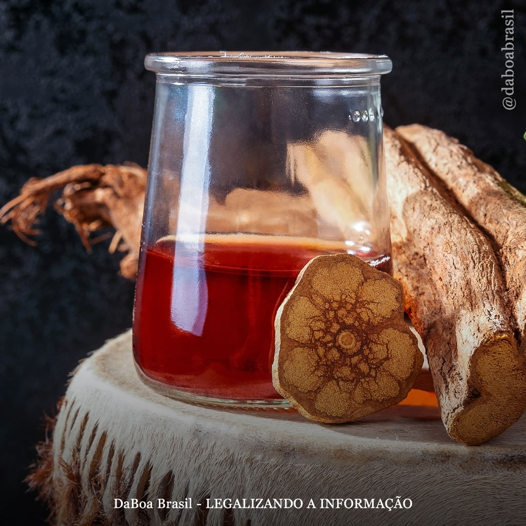 Novo estudo revela que a ayahuasca tem potencial para tratar distúrbios relacionados ao estresse