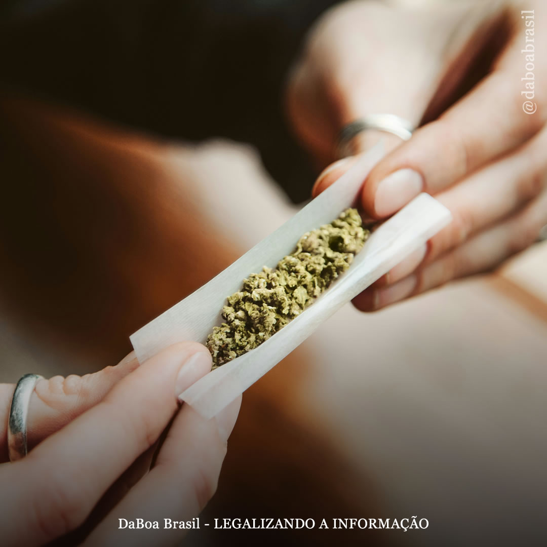 PEC Antidrogas: entenda o que é e vote contra a Proposta de Emenda à Constituição 45/2023