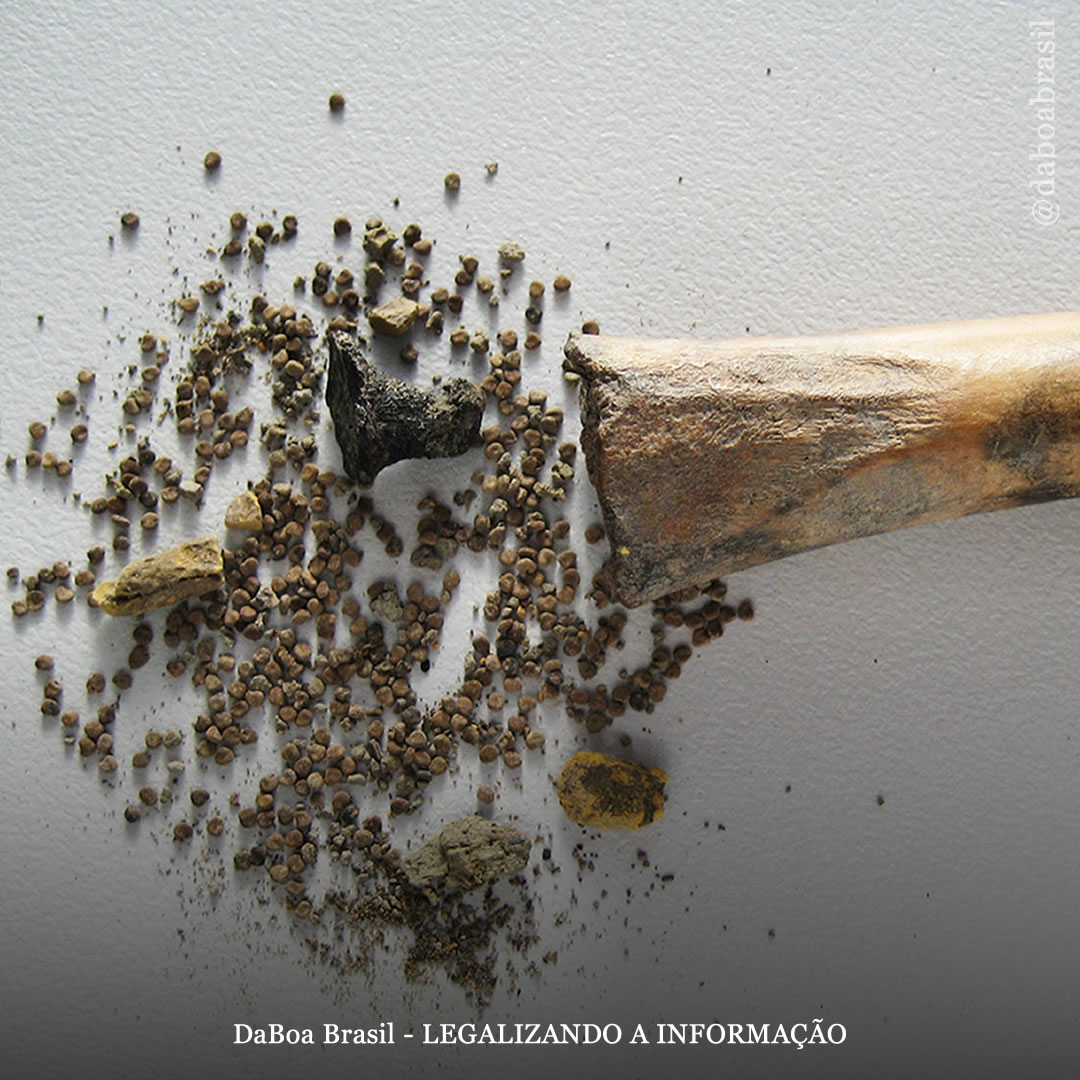 Alucinógenos encontrados dentro de ossos de animais em um território do antigo Império Romano