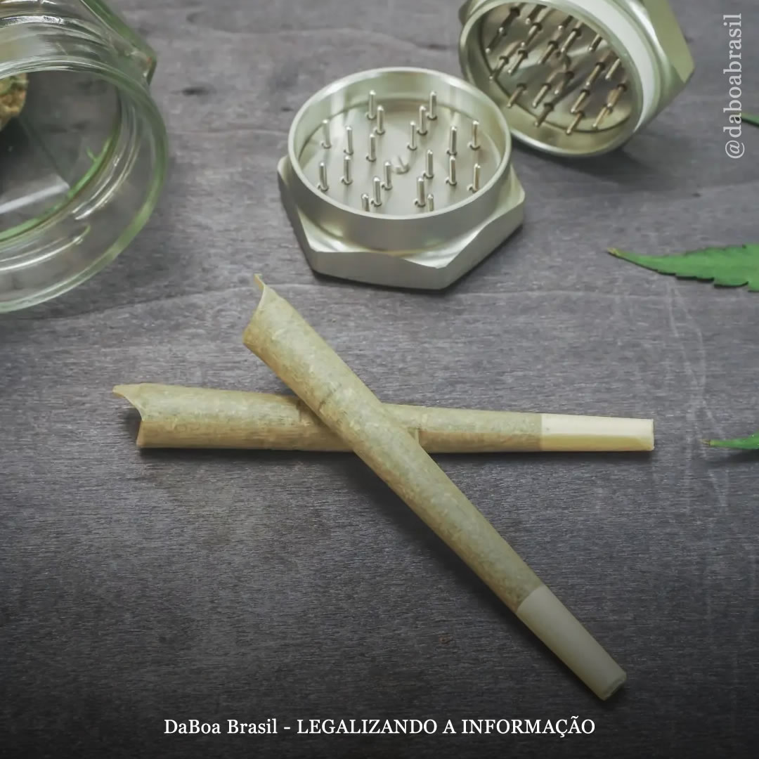 Declínio cognitivo não está associado ao uso ocasional de maconha por jovens, diz estudo