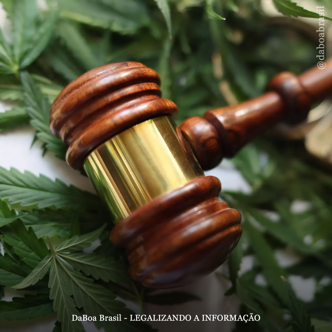 EUA: autoridades de Massachusetts perdoam milhares de pessoas condenadas por maconha