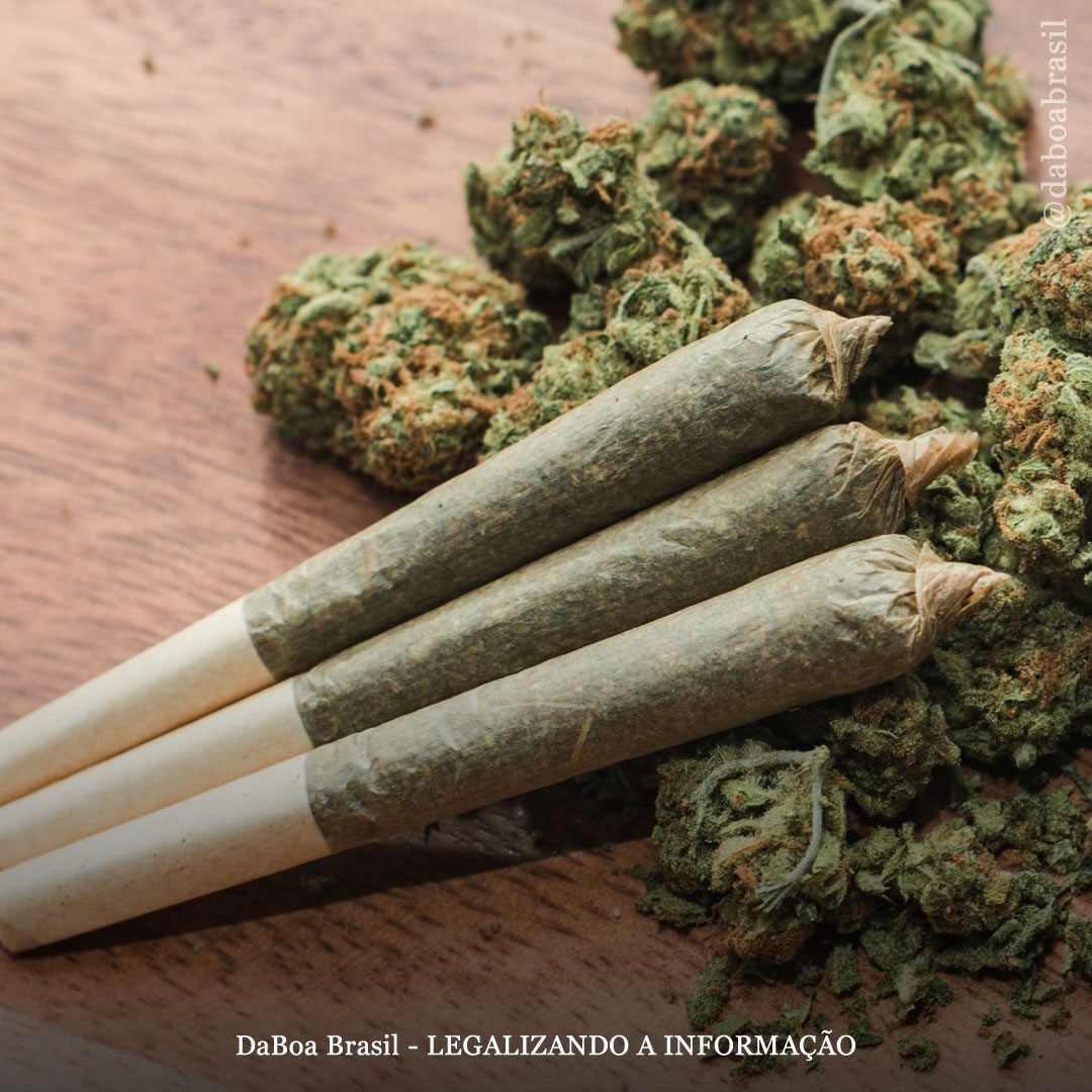 EUA: o uso de maconha entre adolescentes diminuiu em Washington desde a legalização, mostra pesquisa