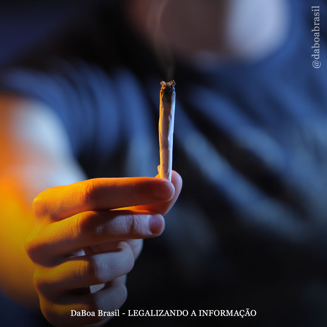 Estudo desafia o estereótipo de que os usuários crônicos de maconha são preguiçosos e desmotivados
