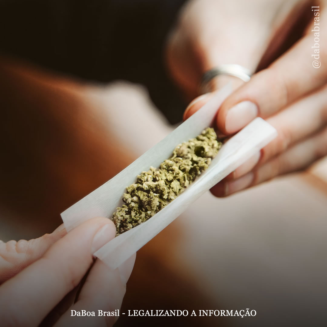 Legalização da maconha reduz probabilidade de uso por adolescentes, conclui estudo