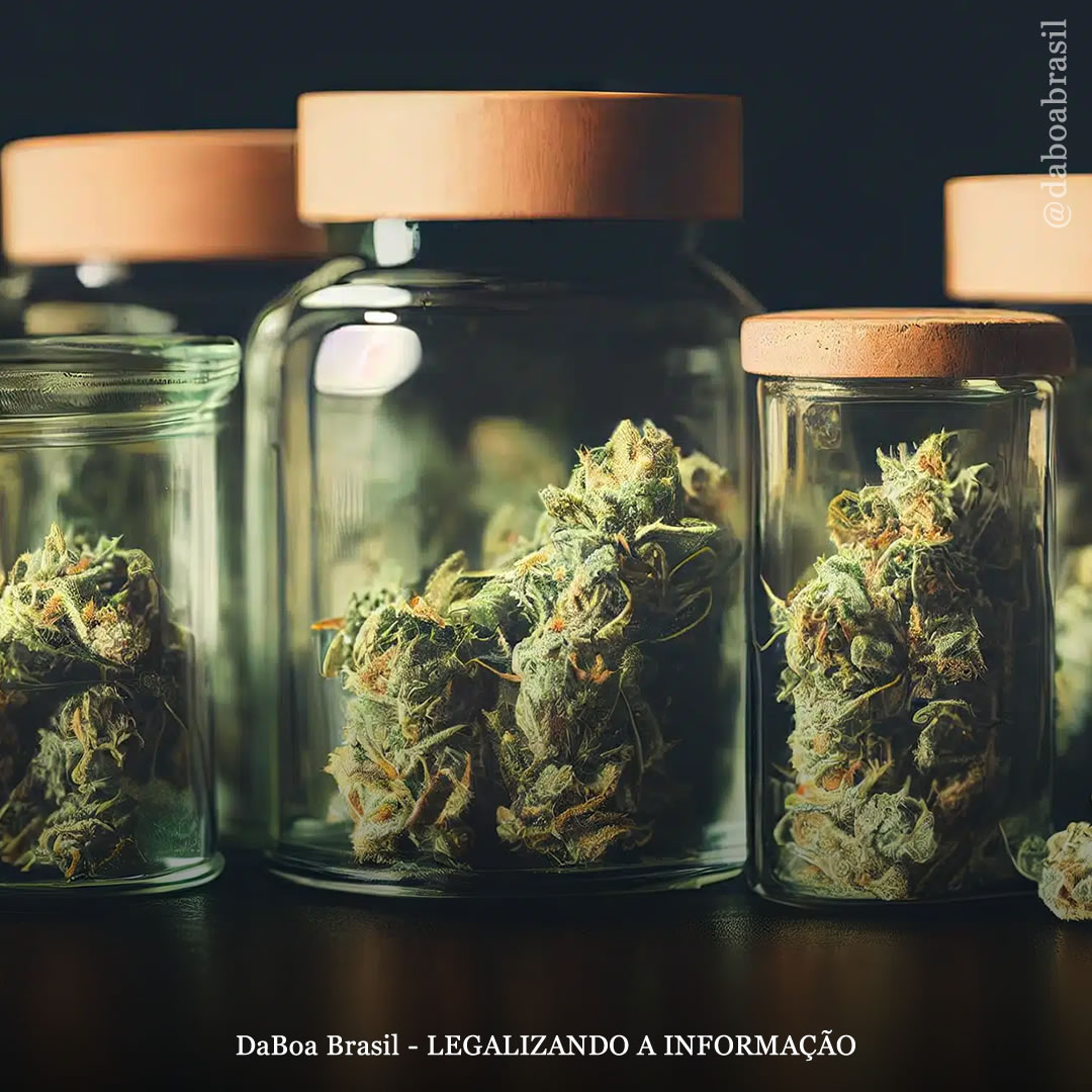 Não há evidências de que a legalização do uso adulto da maconha aumente o consumo entre jovens, conclui estudo