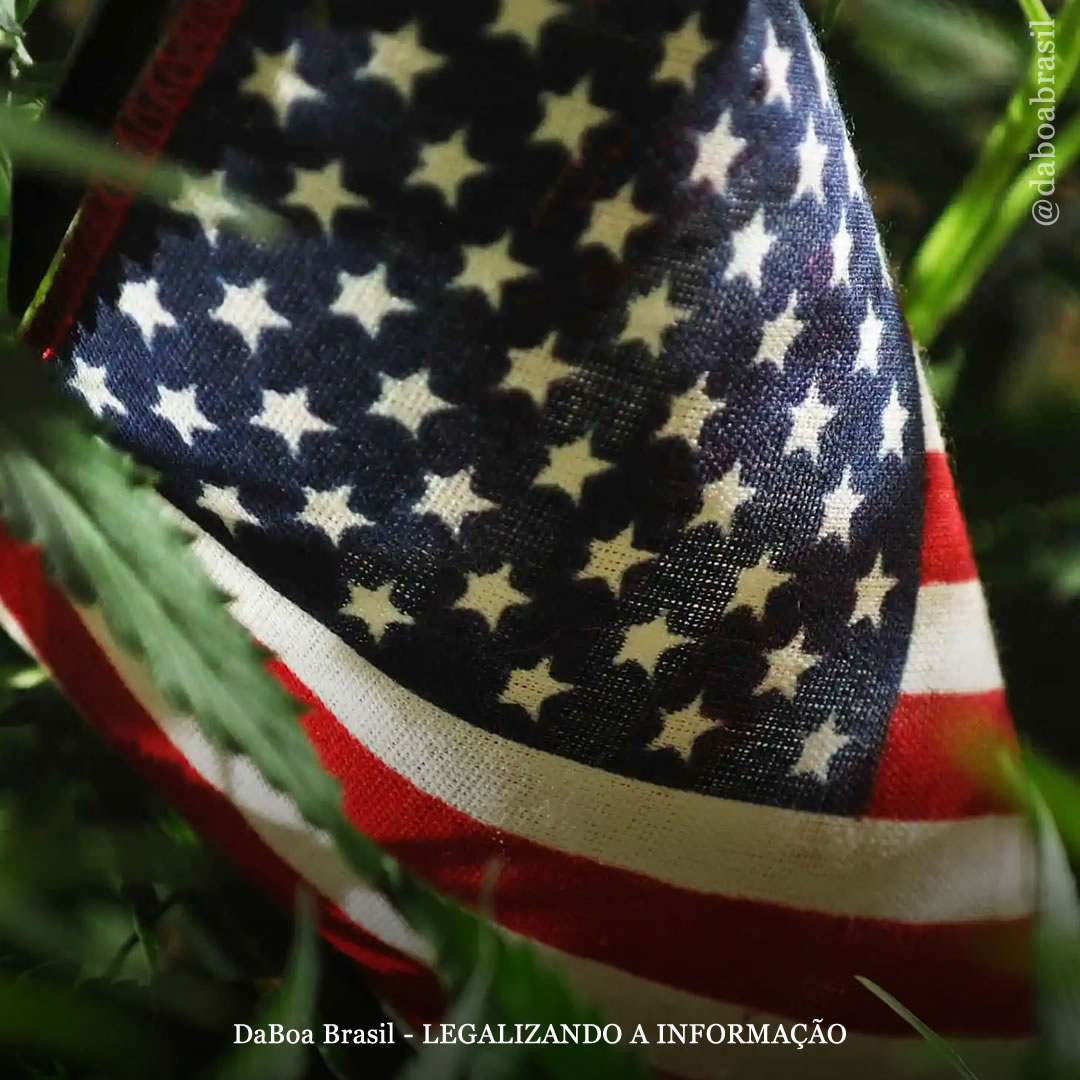 Governo dos EUA anuncia que irá reprogramar a maconha para a Lista III da lei de substâncias controladas