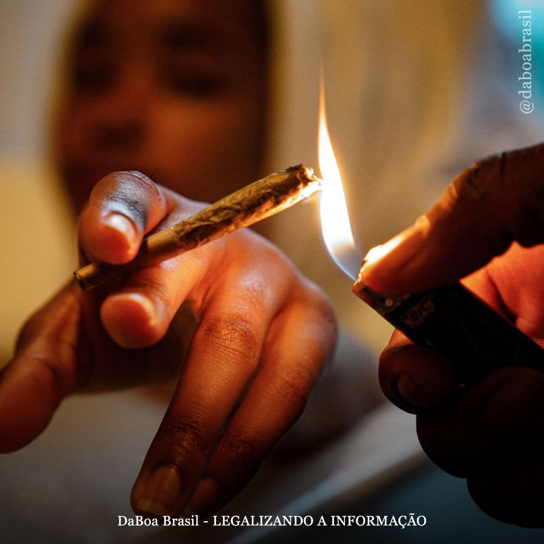 O uso de álcool, opioides e outras drogas causa maiores danos passivos do que o consumo de maconha, conclui estudo