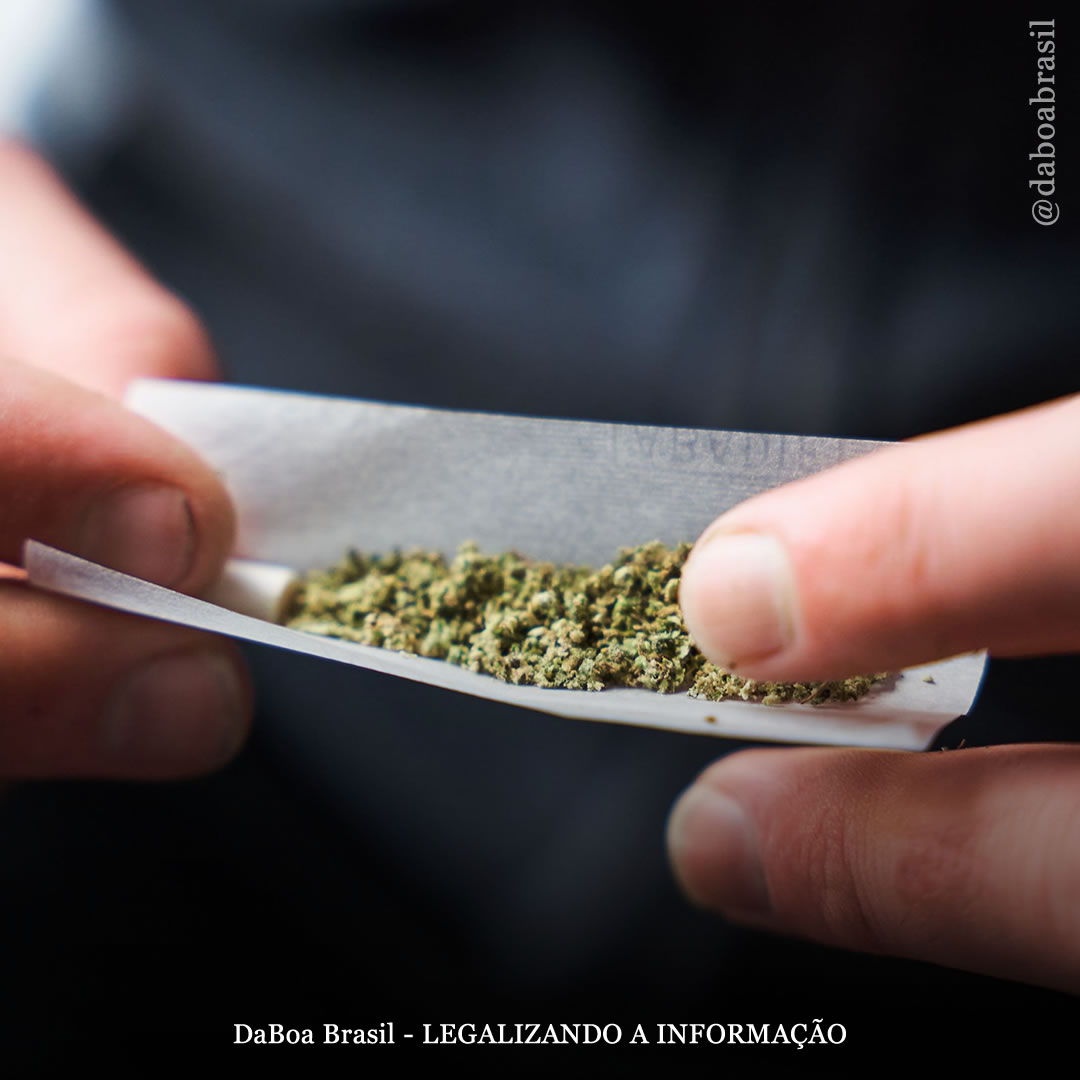 O uso de maconha entre jovens no Colorado (EUA) continua diminuindo desde que a legalização entrou em vigor, contradizendo os temores proibicionistas