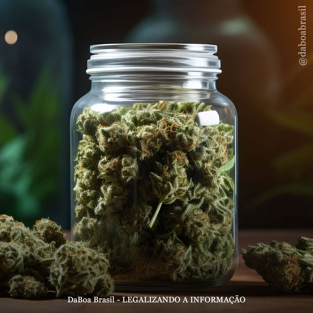 A maconha é mais eficaz no tratamento de dores musculoesqueléticas do que medicamentos tradicionais, diz estudo