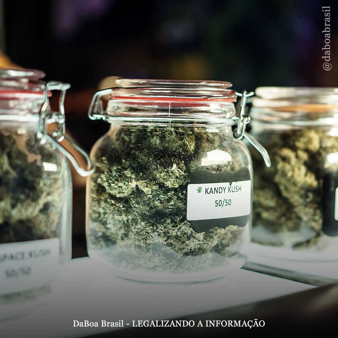 A proximidade com dispensários legais de maconha está associada ao aumento do valor dos imóveis, de acordo com análise