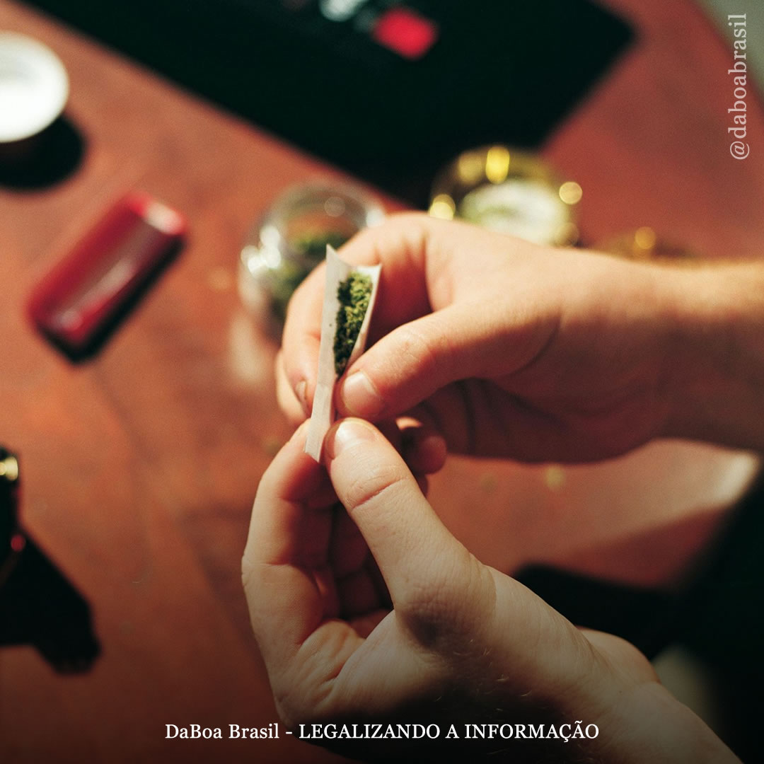 Não houve aumento nas taxas de uso de maconha entre os jovens na última década, de acordo com estudo