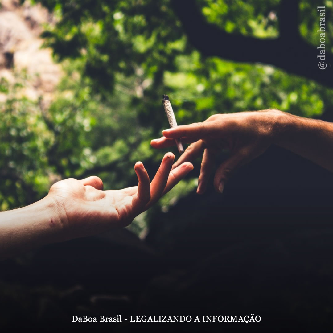 O uso de maconha está ligado a sexo melhor e mais frequente, de acordo com novo estudo