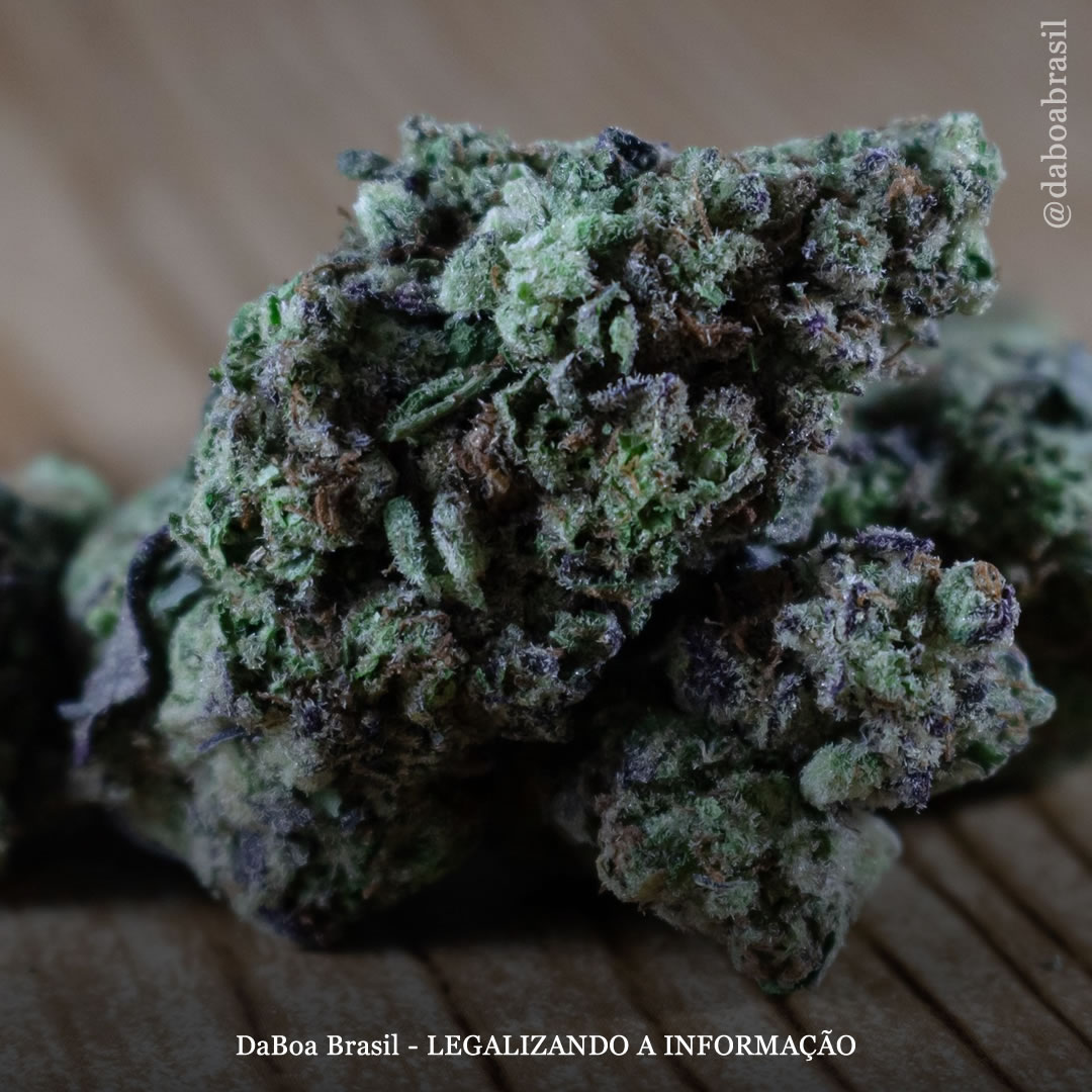 Pessoas relatam melhoras na ansiedade e depressão após uso de maconha, diz estudo