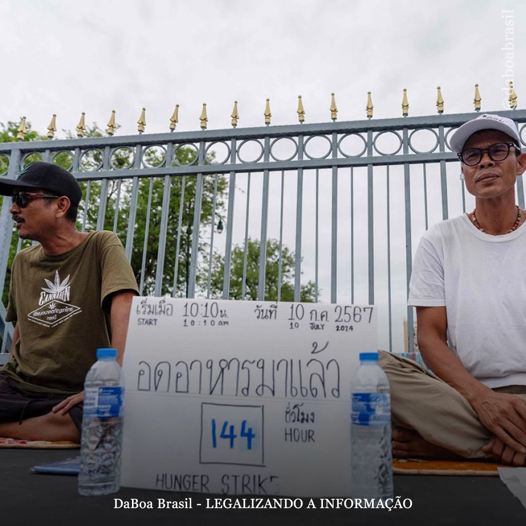 Tailândia: ativistas iniciam greve de fome contra o retorno à proibição da maconha