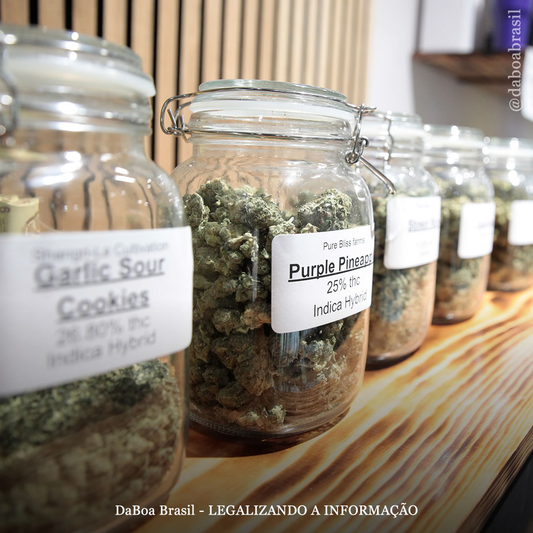 EUA: começam as vendas de maconha para uso adulto no estado de Ohio