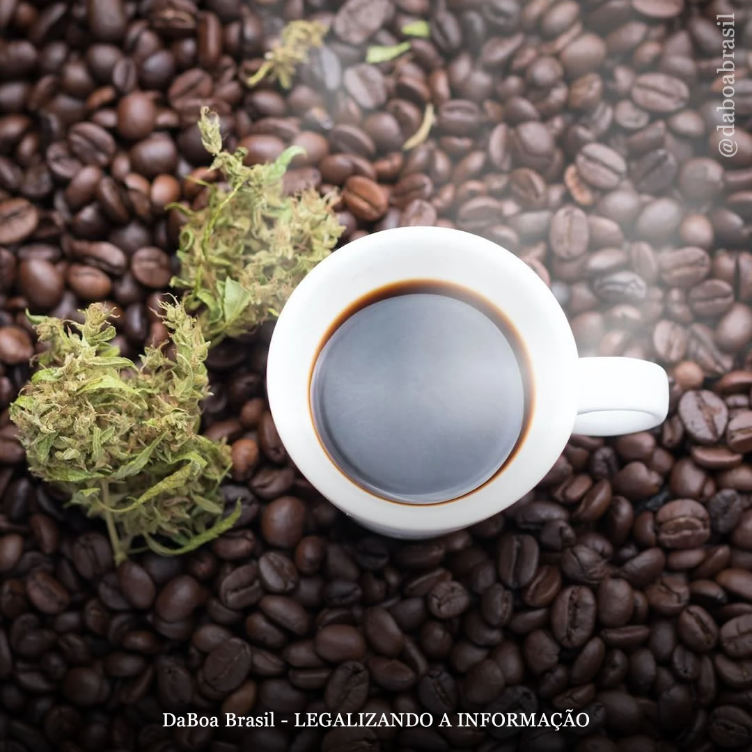 Países Baixos: estudo revela que 30% das pessoas usam café e maconha para tratar Parkinson