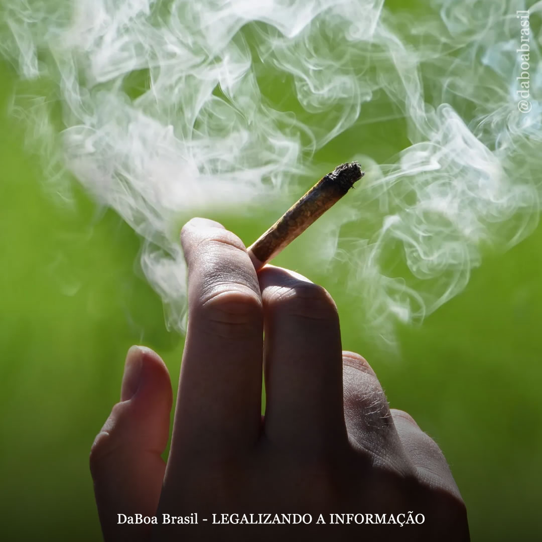 A legalização é uma “ameaça significativa” para a indústria do álcool porque as pessoas substituem a cerveja e o vinho pela maconha, segundo análise