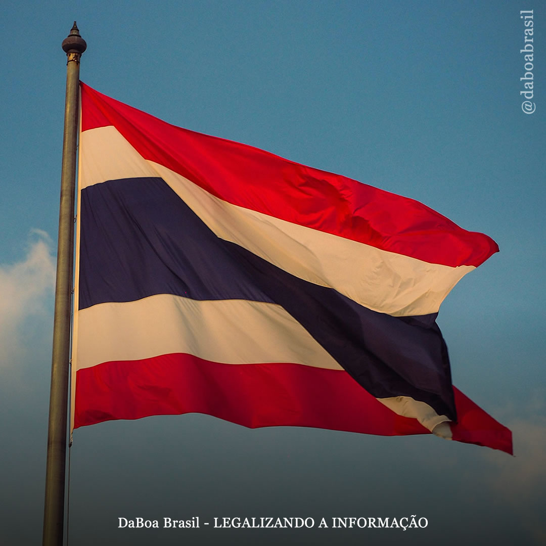 Após pressão de ativistas, Tailândia apresenta novo projeto de lei que protege o uso adulto da maconha