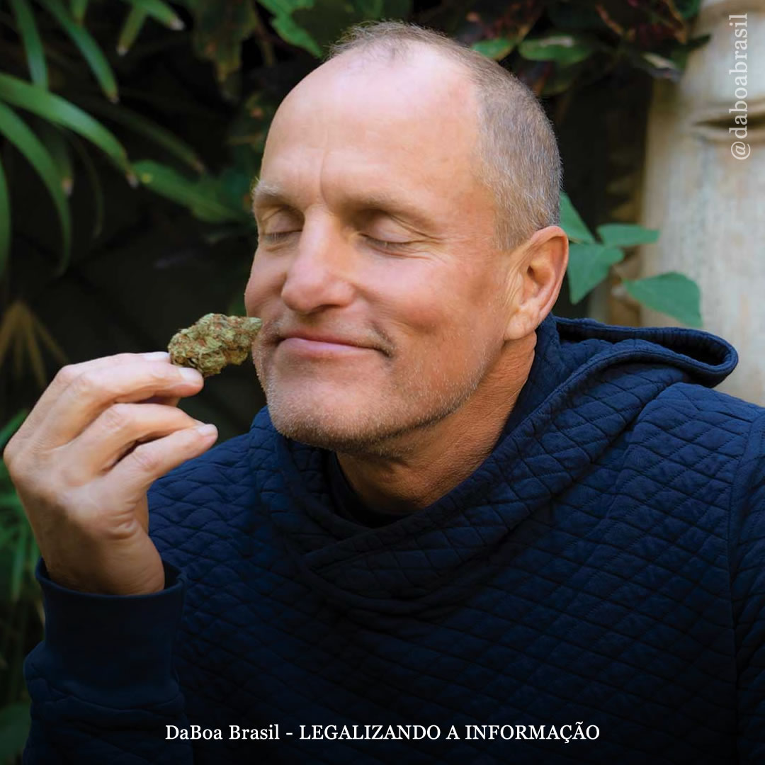 Ator Woody Harrelson pressiona governador da Califórnia (EUA) para expandir a indústria da maconha