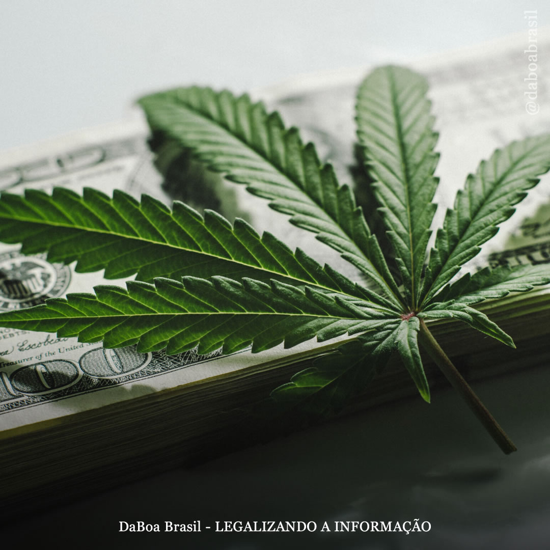 EUA: Nova York anuncia US$ 5 milhões em subsídios para reinvestimento comunitário financiados pela receita tributária da maconha