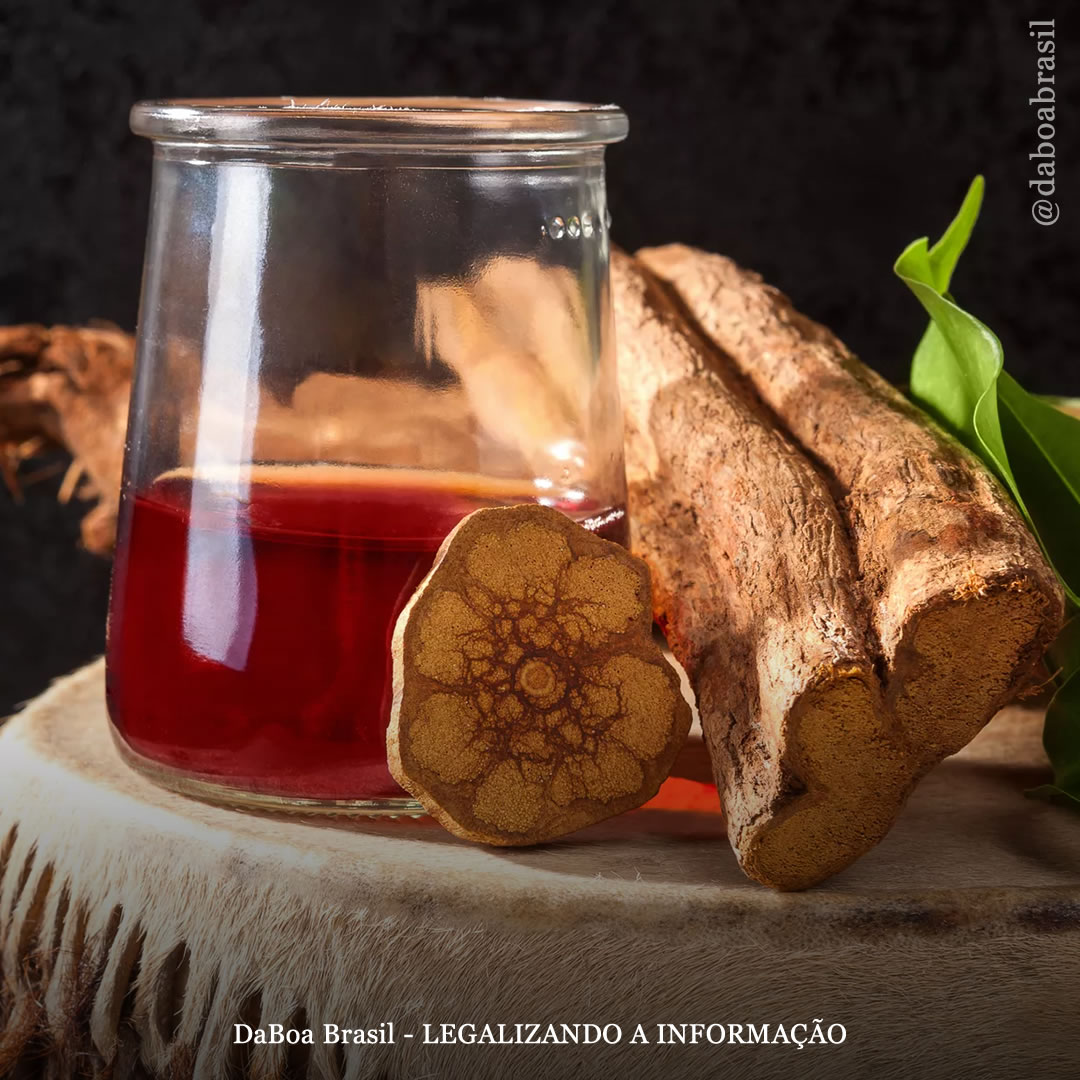 Peru: Ministério da Saúde lança guia para o uso seguro da ayahuasca