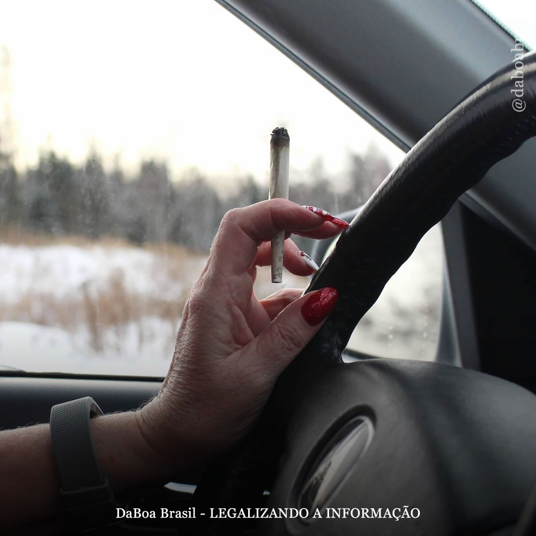 Não há relação linear entre THC no sangue e direção prejudicada, descobre estudo