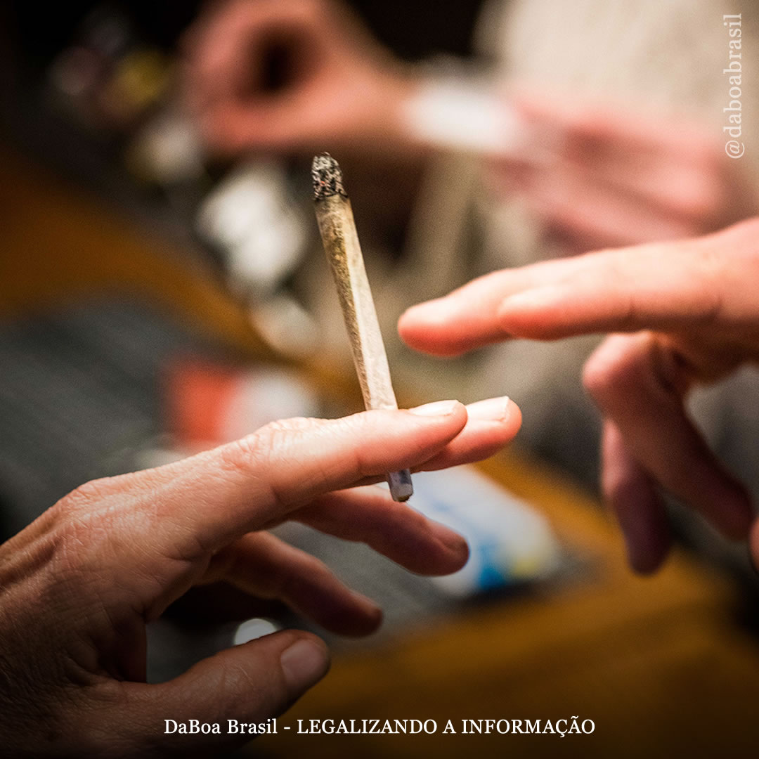 Quanto tempo a maconha permanece no seu organismo?