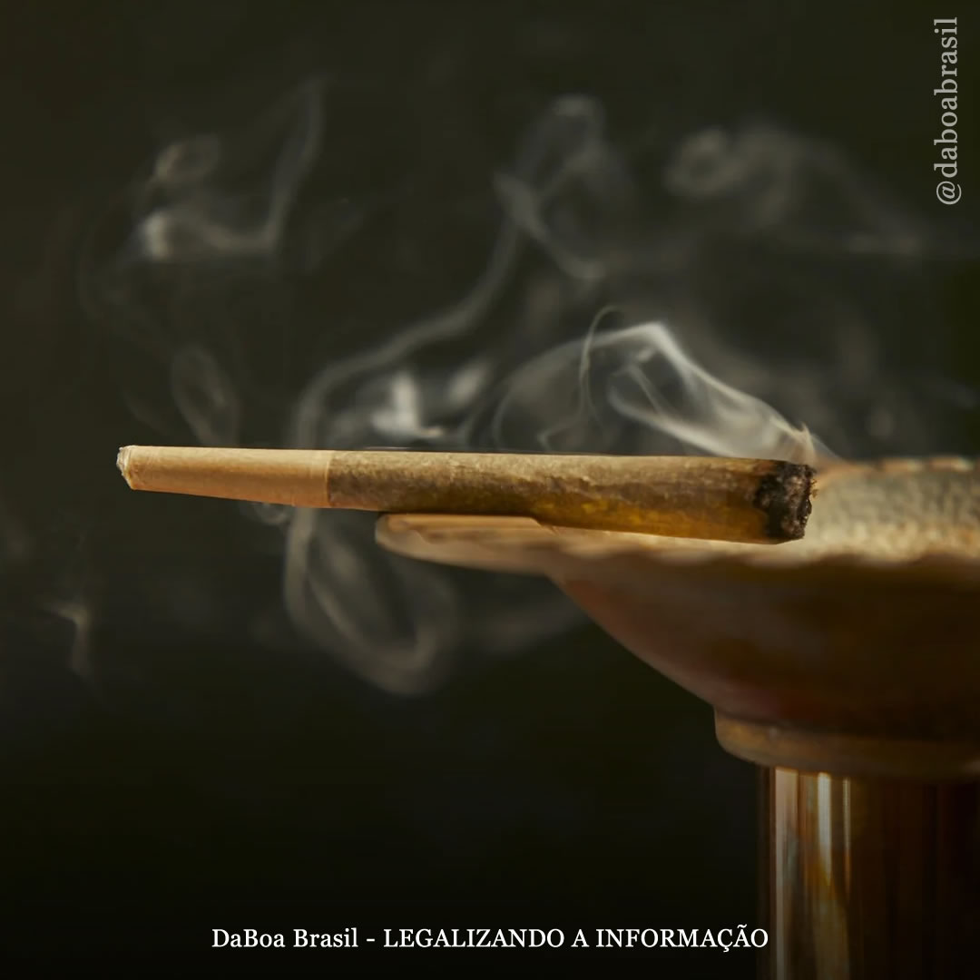 EUA: uso de maconha por adolescentes caiu à medida que os estados promulgaram a legalização, mostra estudo