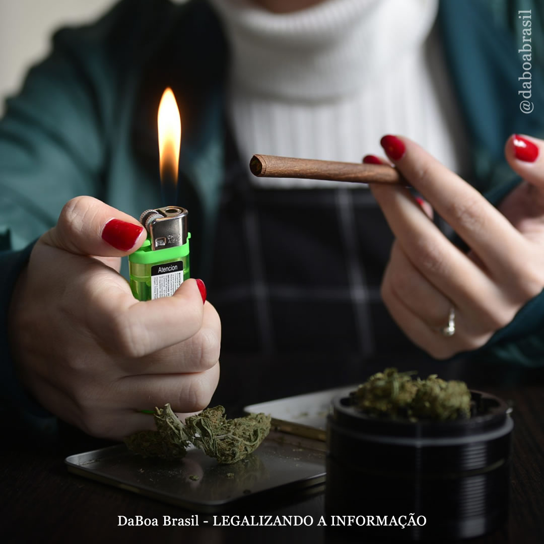 Uso materno de maconha não está vinculado ao autismo ou atrasos no desenvolvimento infantil, mostram estudos