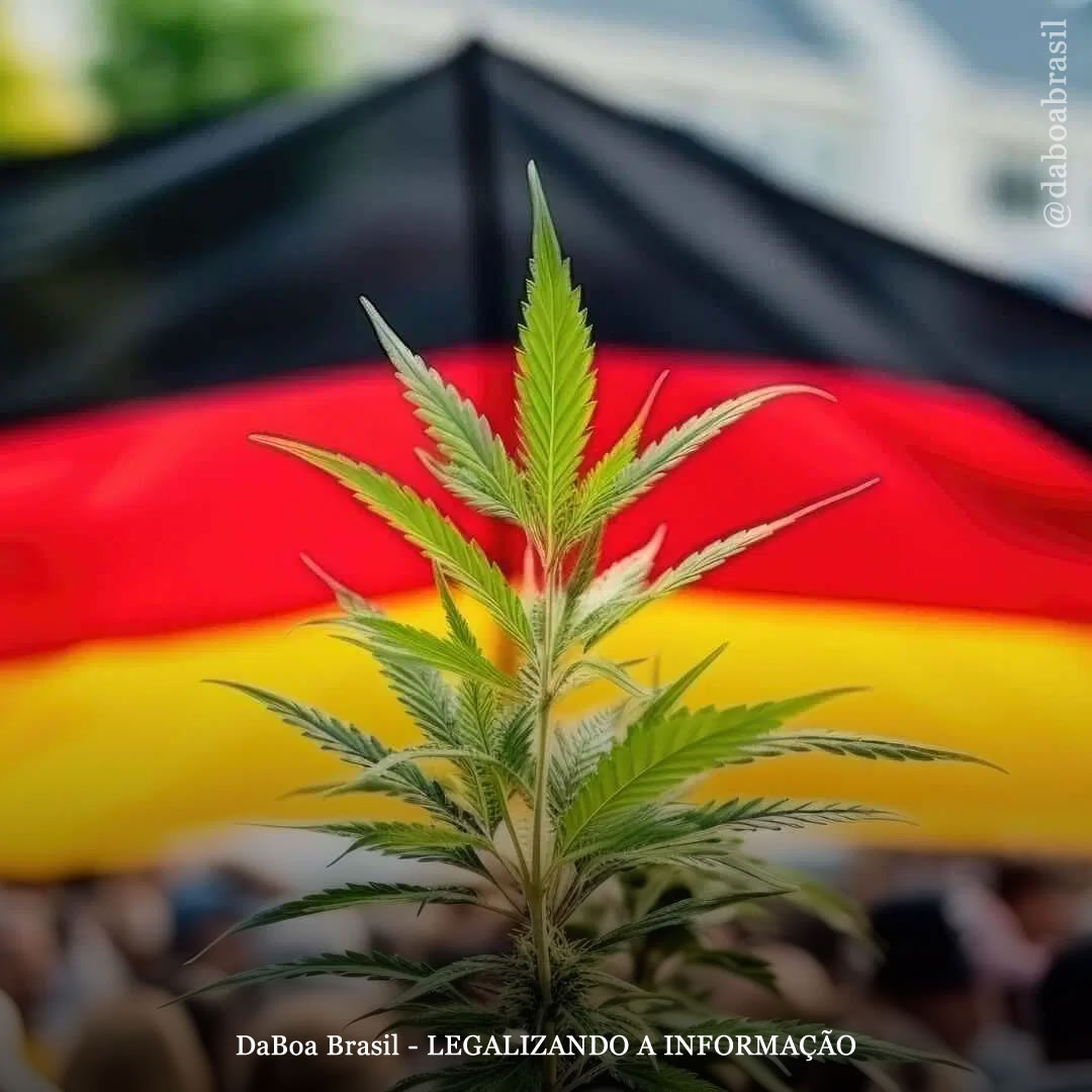 Alemanha recebe cinco outras nações europeias em reunião conjunta sobre a maconha para discutir experiências de legalização