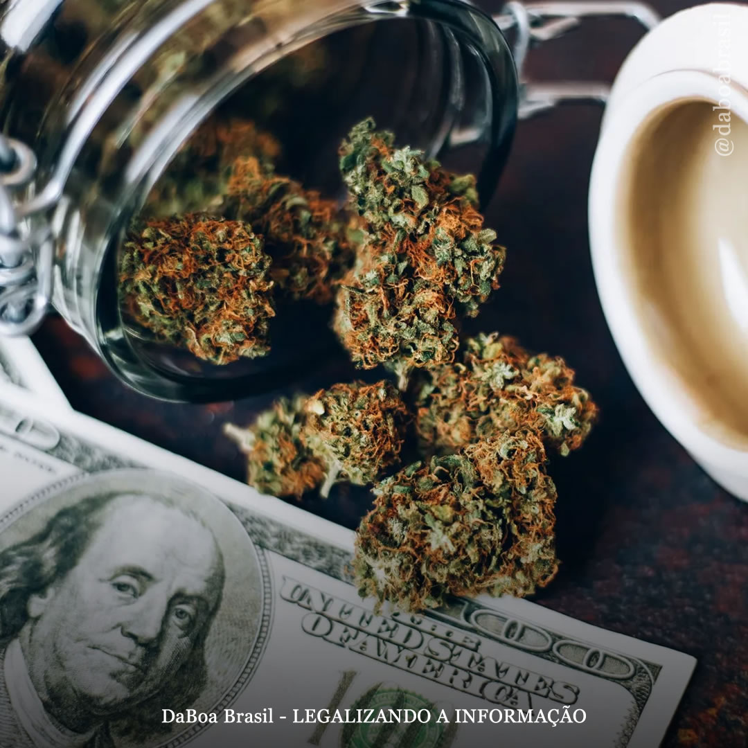 EUA: eleitores de Baltimore aprovam medida para reinvestir dinheiro de impostos sobre maconha em comunidades mais prejudicadas pela proibição